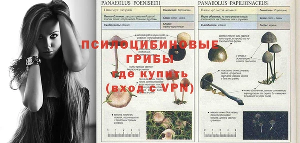 spice Елабуга