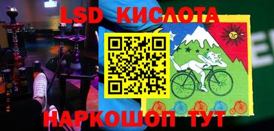 стаф Канаш
