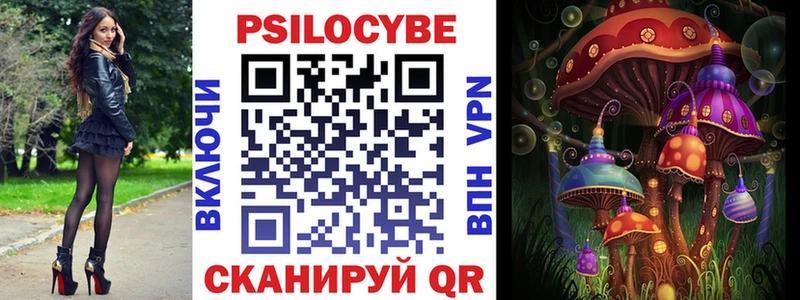 где купить наркоту  кракен зеркало  Псилоцибиновые грибы Cubensis  Свободный 