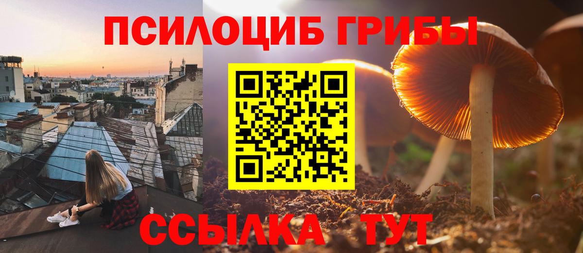 Псилоцибиновые грибы Magic Shrooms Свободный