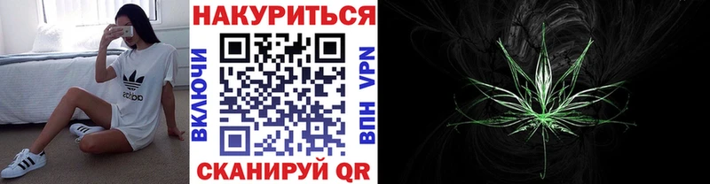 OMG онион  продажа наркотиков  Свободный  Каннабис семена 